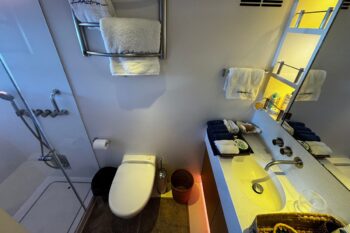 Adastra Mc Conaghy 140 - Image 19