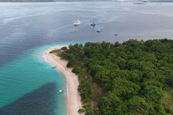 Mondomarine 149 - Image 14