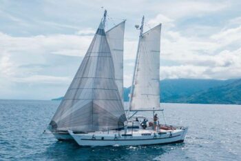 Wharram Tiki 46 - Image 8