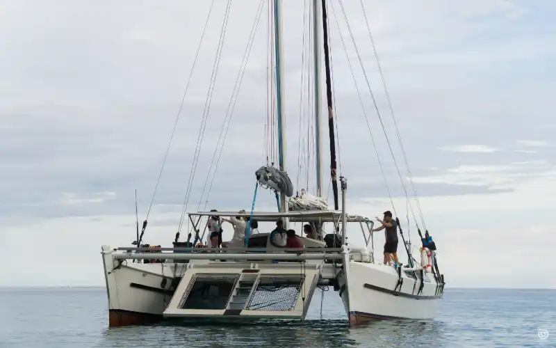 Wharram Tiki 46 Batangas (2)