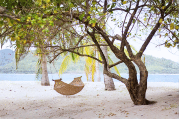 Brother Island - Image 7