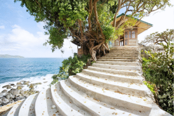 Brother Island - Image 8