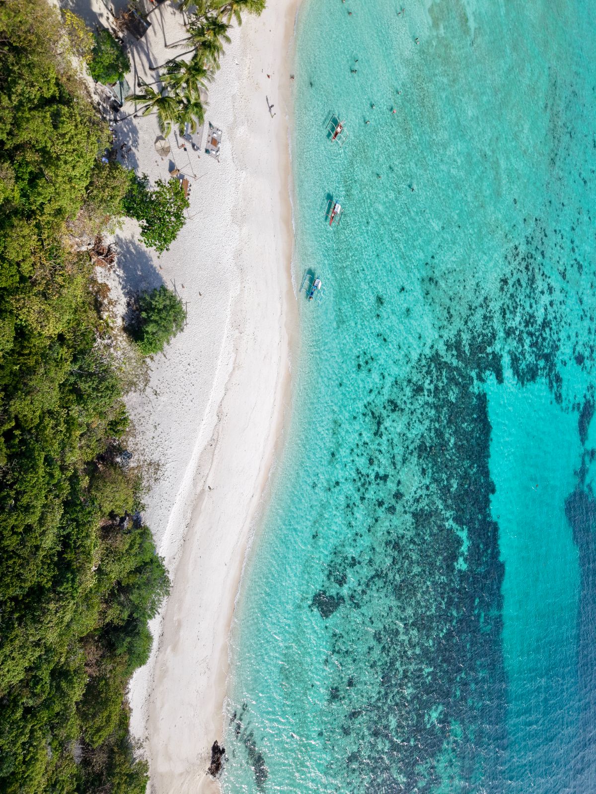 Malcapuya Island Set Up (1)