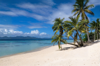 Private Yacht Cruise Coron to Dipnay (El Nido) - 6 Days - Image 2