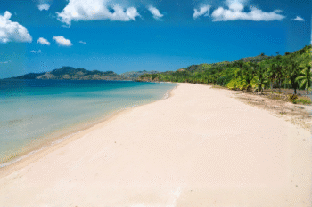 Private Yacht Cruise Coron to Dipnay (El Nido) - 6 Days - Image 6