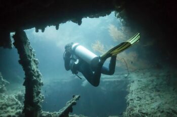 Lusong Wreck and Coral Garden Snorkeling - Image 7